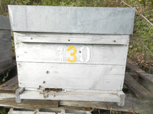 Charger l'image dans la galerie, Ruche peuplée | Abeilles | noires | 2026