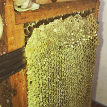 Charger l'image dans la galerie, Miel du Villard