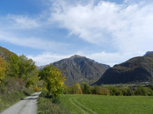 Charger l'image dans la galerie, Miel de Valbonnais