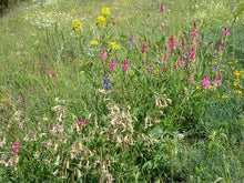 Charger l'image dans la galerie, Miel du Villard